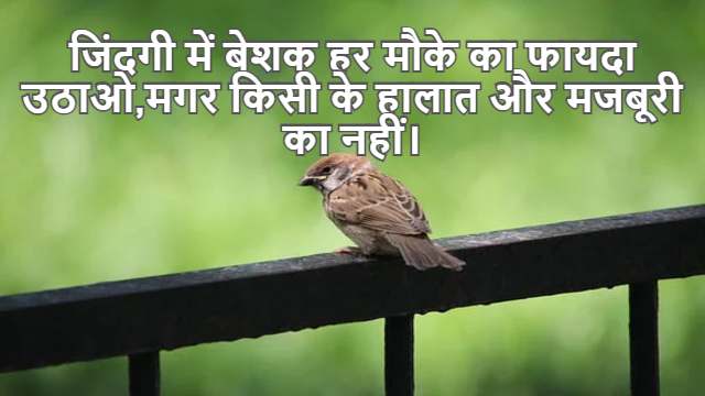 Homogeneous Differential Equation Class 12