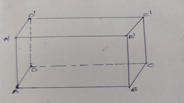 Surface Area of Cube and Cuboid