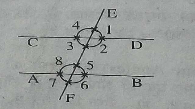 Lines and Angles for Class 9