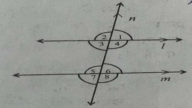 Lines and Angles for Class 9