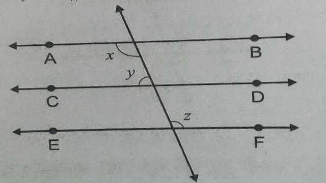 Lines and Angles for Class 9