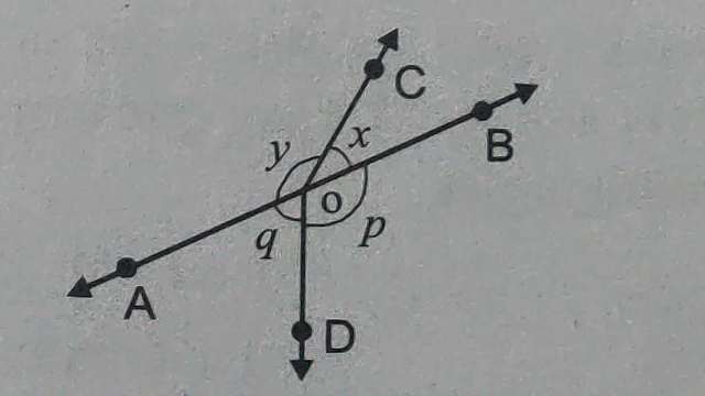 Lines and Angles for Class 9