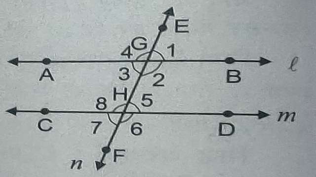 Lines and Angles for Class 9