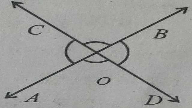 Lines and Angles for Class 9