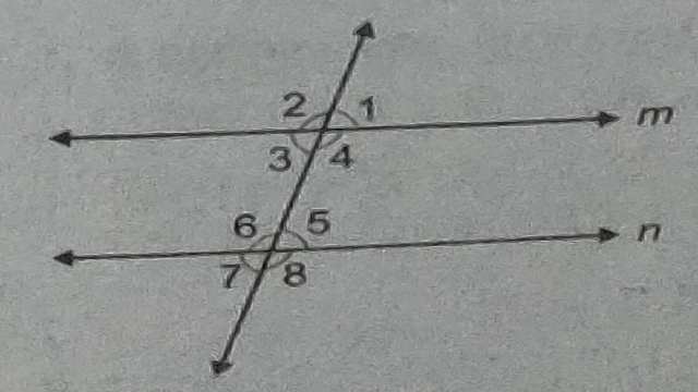 Lines and Angles for Class 9