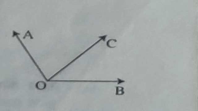 Lines and Angles for Class 9