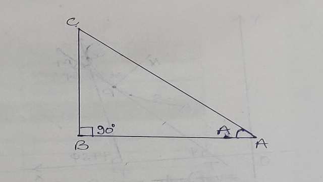 Trigonometric Ratios of Acute Angle