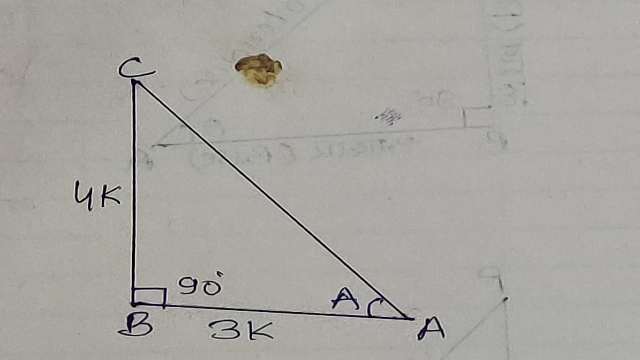 Trigonometric Ratios of Acute Angle