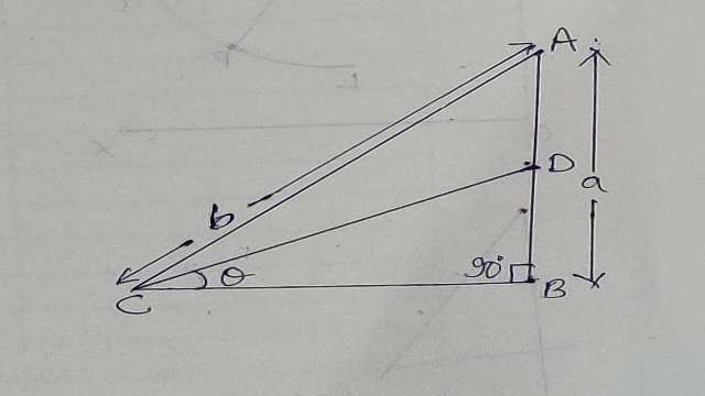 Trigonometric Ratios of Acute Angle