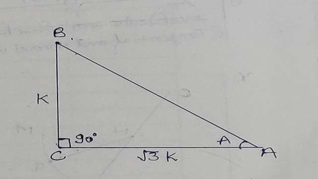 Trigonometric Ratios of Acute Angle