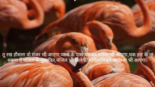 Differentiability and Continuity