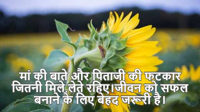 Evaluation of Triple Integral