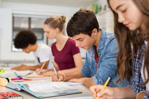 How Do Students Write Articles?