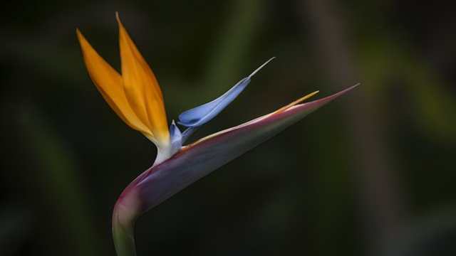 Sum of Terms of Geometric Progression