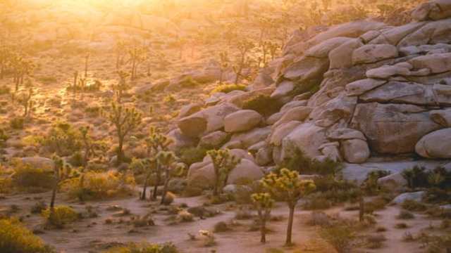 Vertical motion of particle under resistance