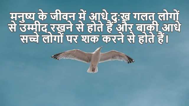 Volume of Solids of Revolution