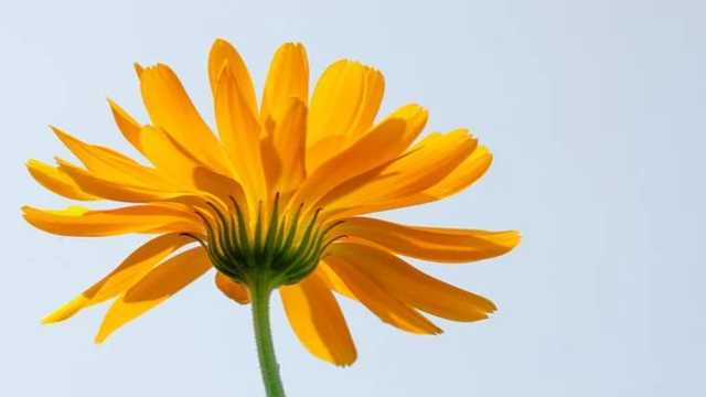 Properties of Definite Integrals