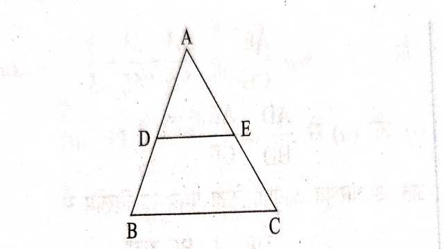 Basic Proportionality Theorem