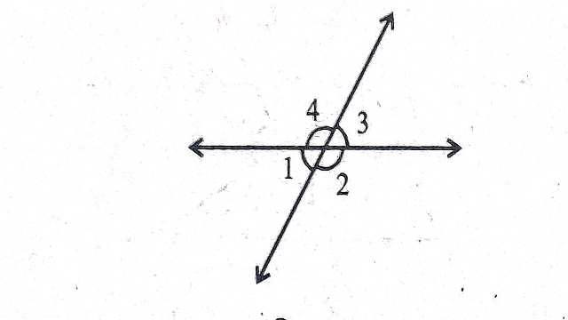 Plane Geometry and Line and Angle