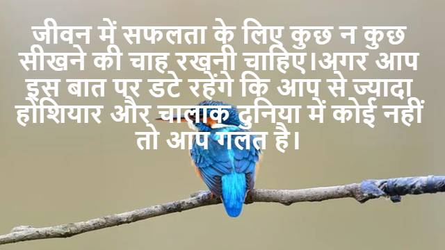 find square root of complex number