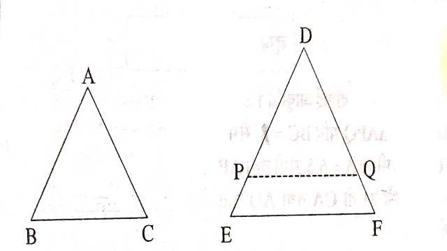 Similarity of Triangles