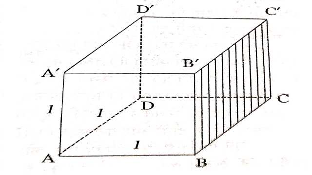 Surface Area and Volume of Cuboid