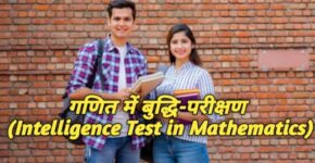 Intelligence Test in Mathematics