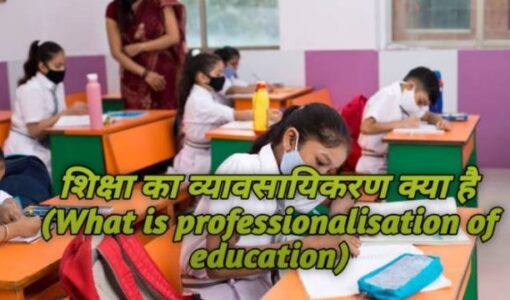 What is professionalisation of education