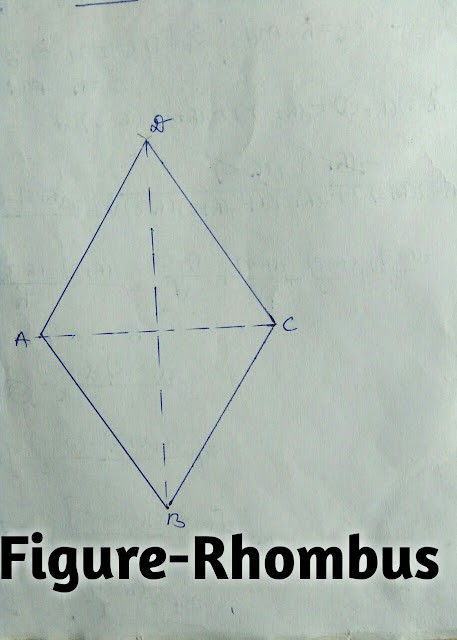 Formula Area of Quadrilateral,Rhombus