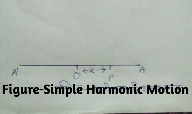 Period of Simple Harmonic Motion and Amplitude