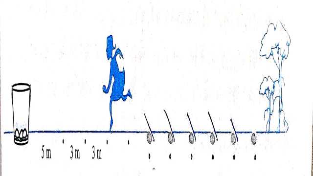 Sum of First n Terms of an AP in Maths