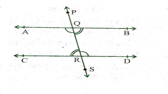 Parallel Lines and Transversal Lines