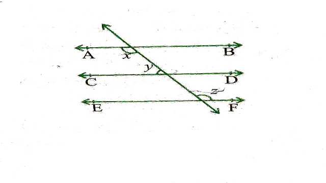 Parallel Lines and Transversal Lines
