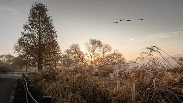 Parallel Lines and Transversal Lines