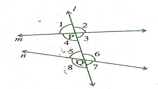Parallel Lines and Transversal Lines