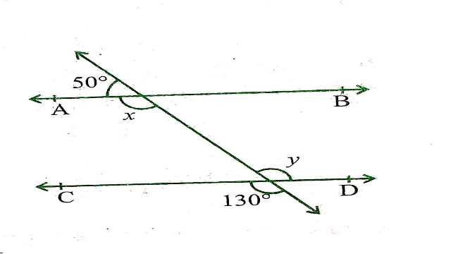 Parallel Lines and Transversal Lines