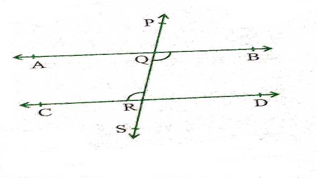 Parallel Lines and Transversal Lines