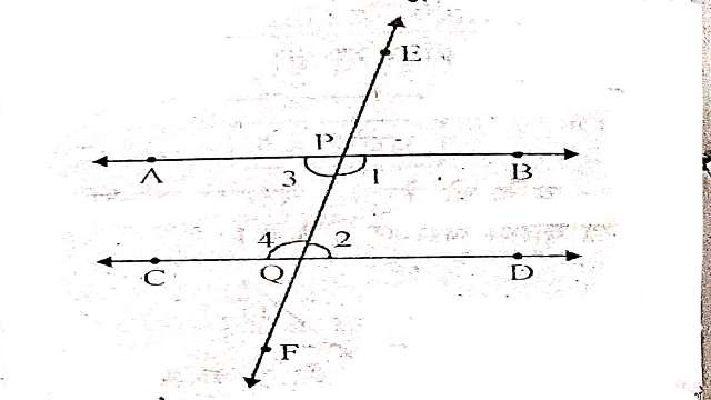 Parallel Lines and Transversal Lines