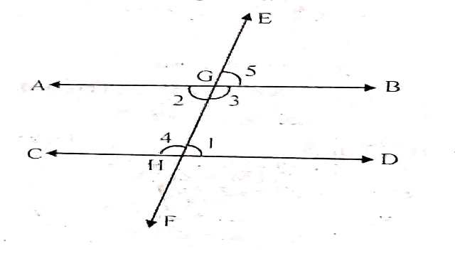 Parallel Lines and Transversal Lines