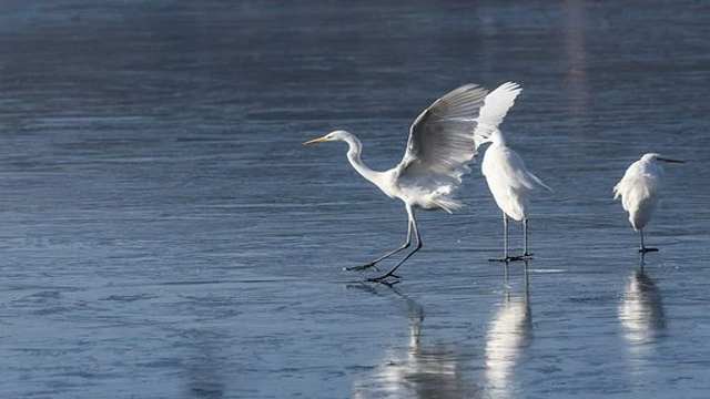 Congruence of Triangles Class 9