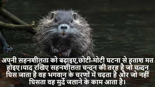 Inverse Trigonometric Functions 12th