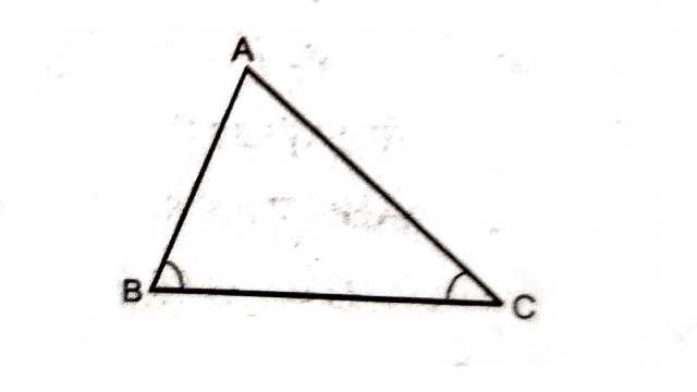 Inequalities of Triangle in Class 9