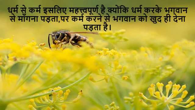 Similarity of Triangles Class 10