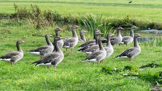 Inverse Trigonometric Function