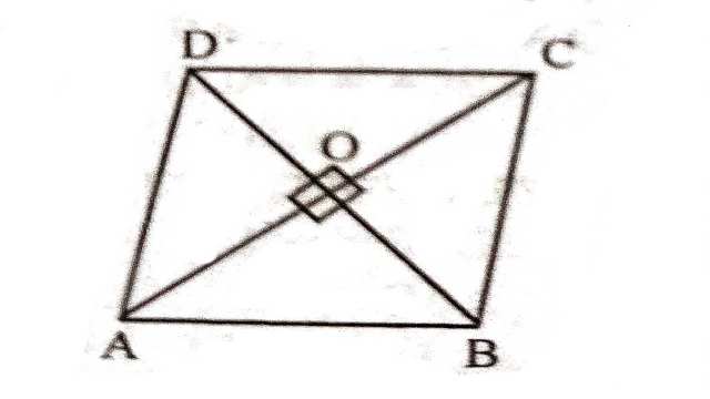 Quadrilaterals Class 9