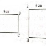 Area of Parallelograms and Triangles