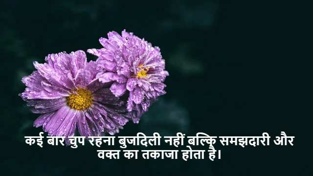 Imp Examples of Zeroes of Polynomial