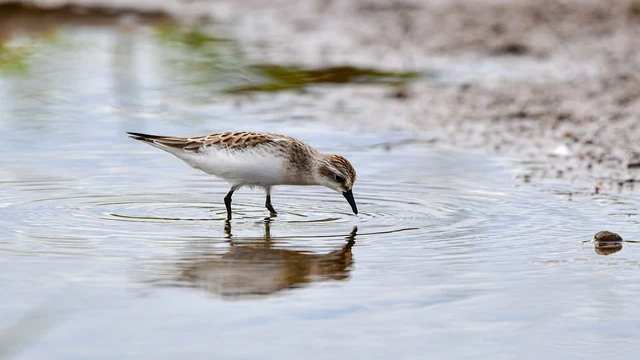 Permutations Class 11th