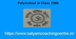 Polynomial in Class 10th