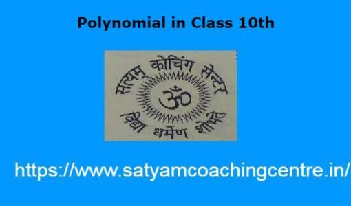 Polynomial in Class 10th